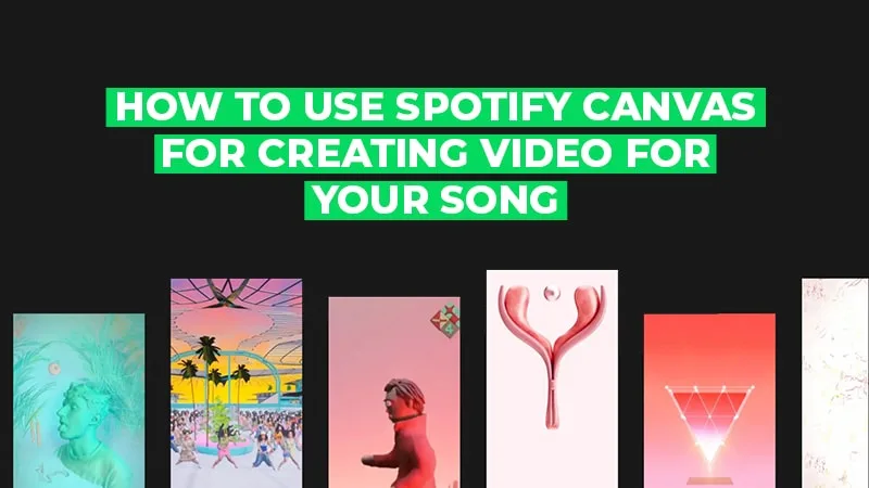Spotify Canvas Video