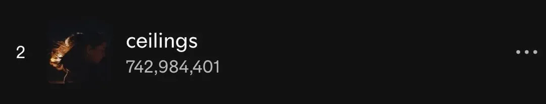 Ceilings views