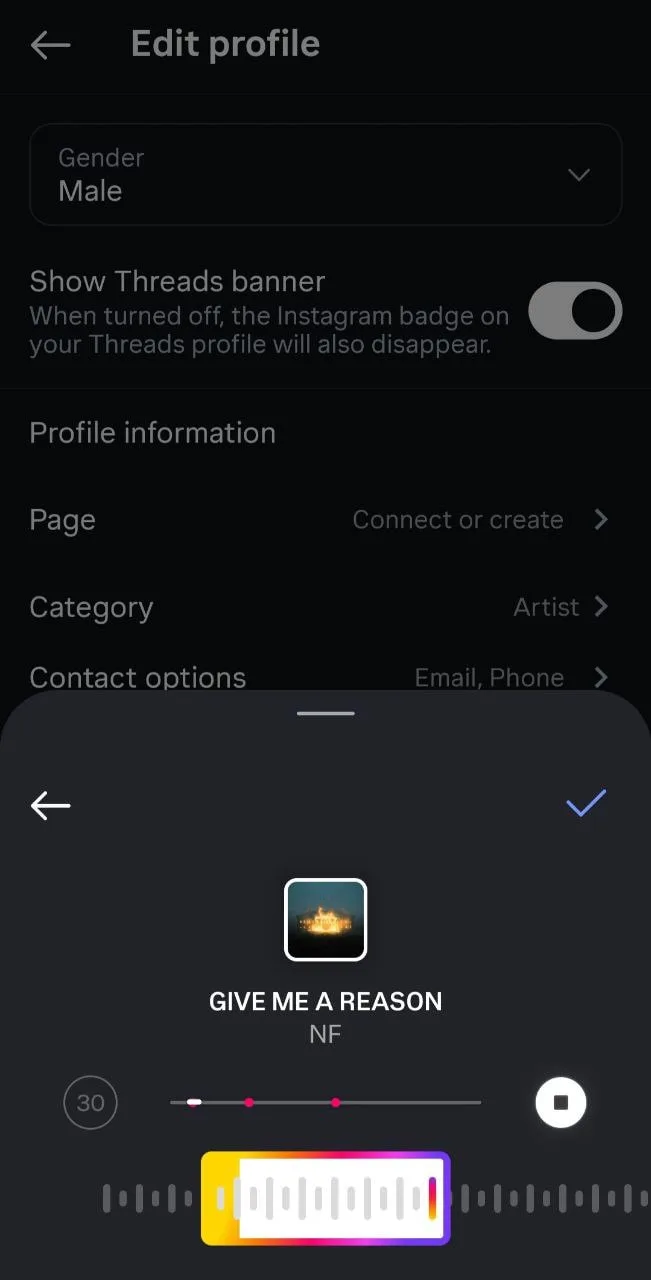 choosing a snippet for putting music to instagram profile bio