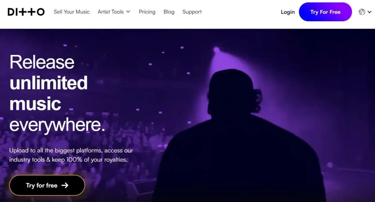 ditto-music-an-alternative-to-distrokid.png