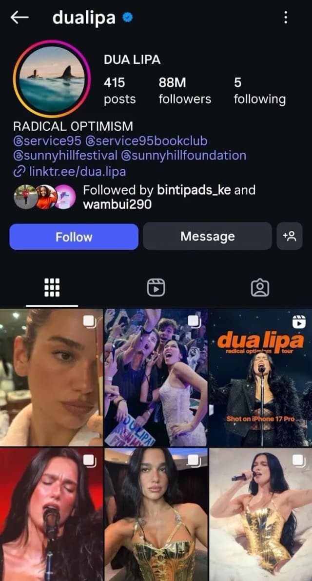 Dua lipa instagram link in bio example