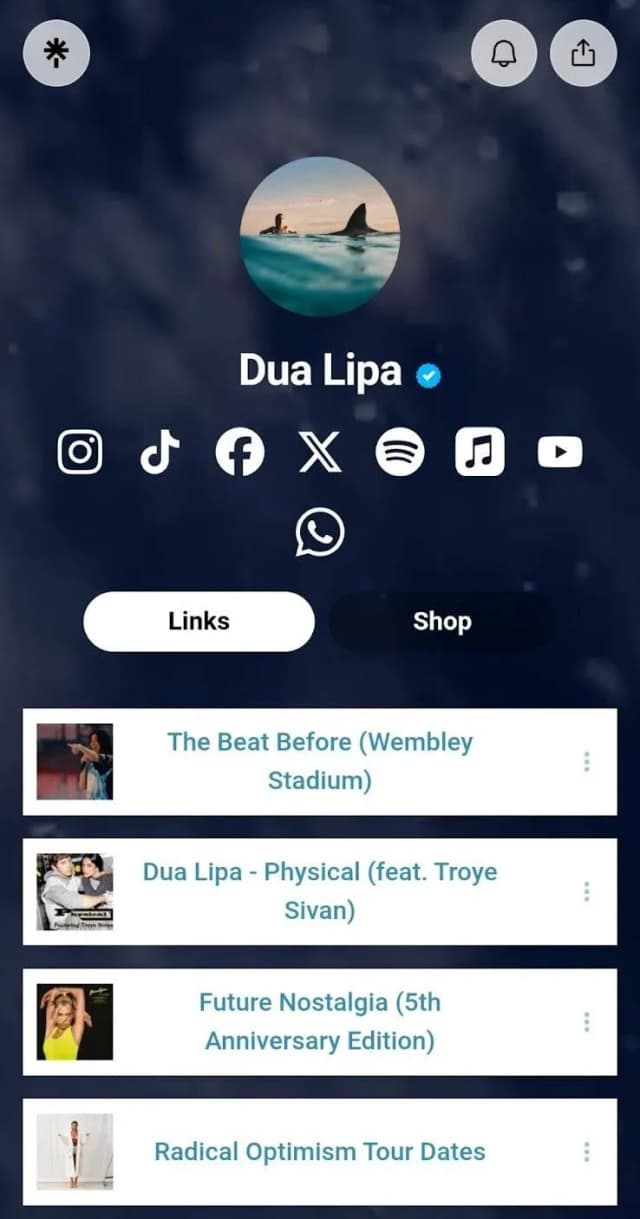 Dua lipa instagram links