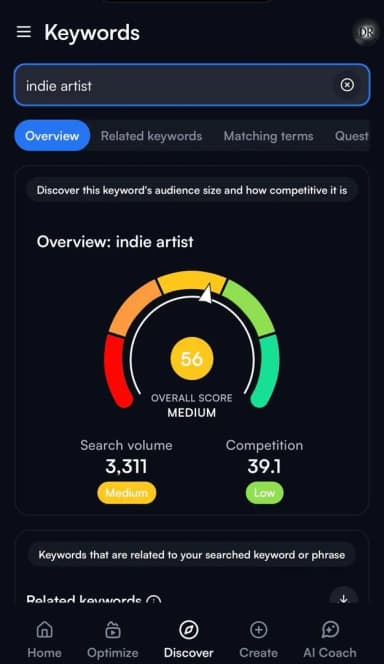 Keyword overview using vidiq