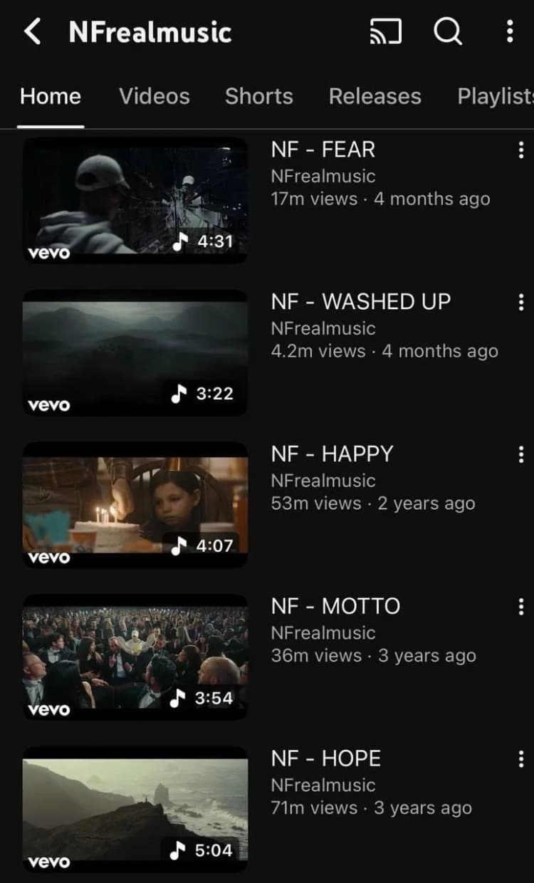 nf-profile-example-for-perfect-music-branding-strategy-on-social-media.png