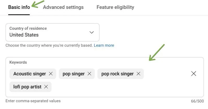 Putting basic info on youtube as an artist
