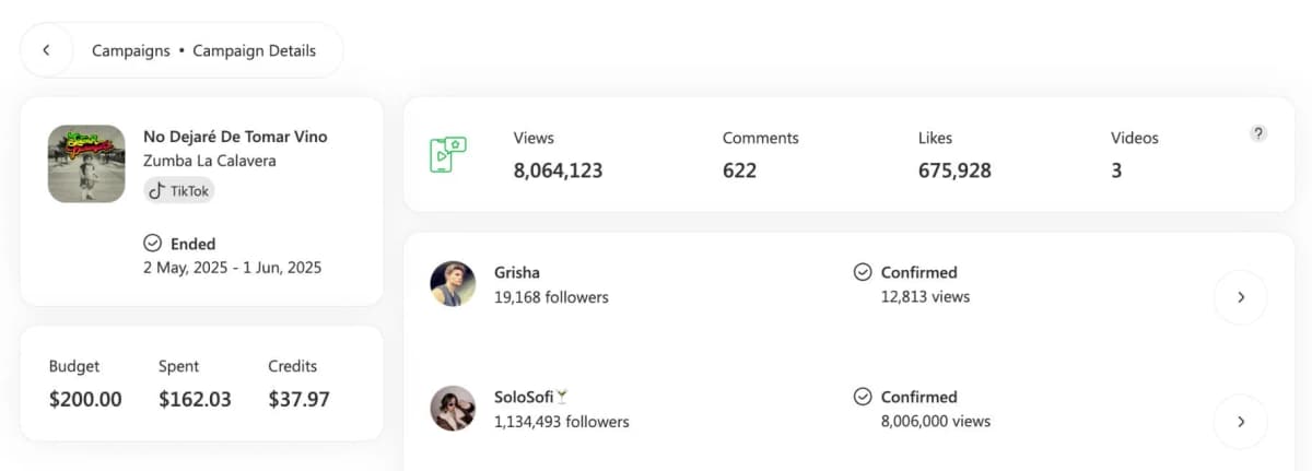 SoundCampaign TikTok campaign