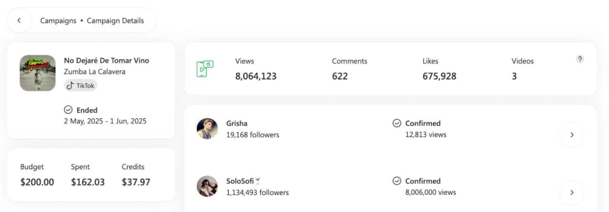SoundCampaign TikTok promotion case study of an artist