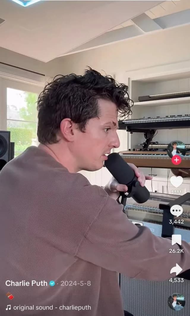 Tiktok video example for musicians