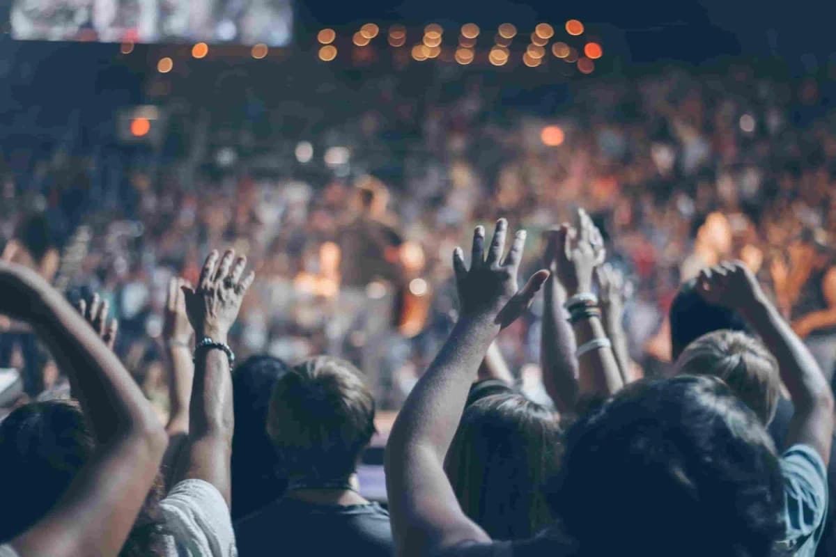 crowd at the concert