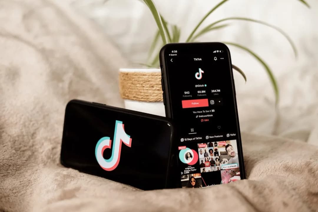 TikTok video views
