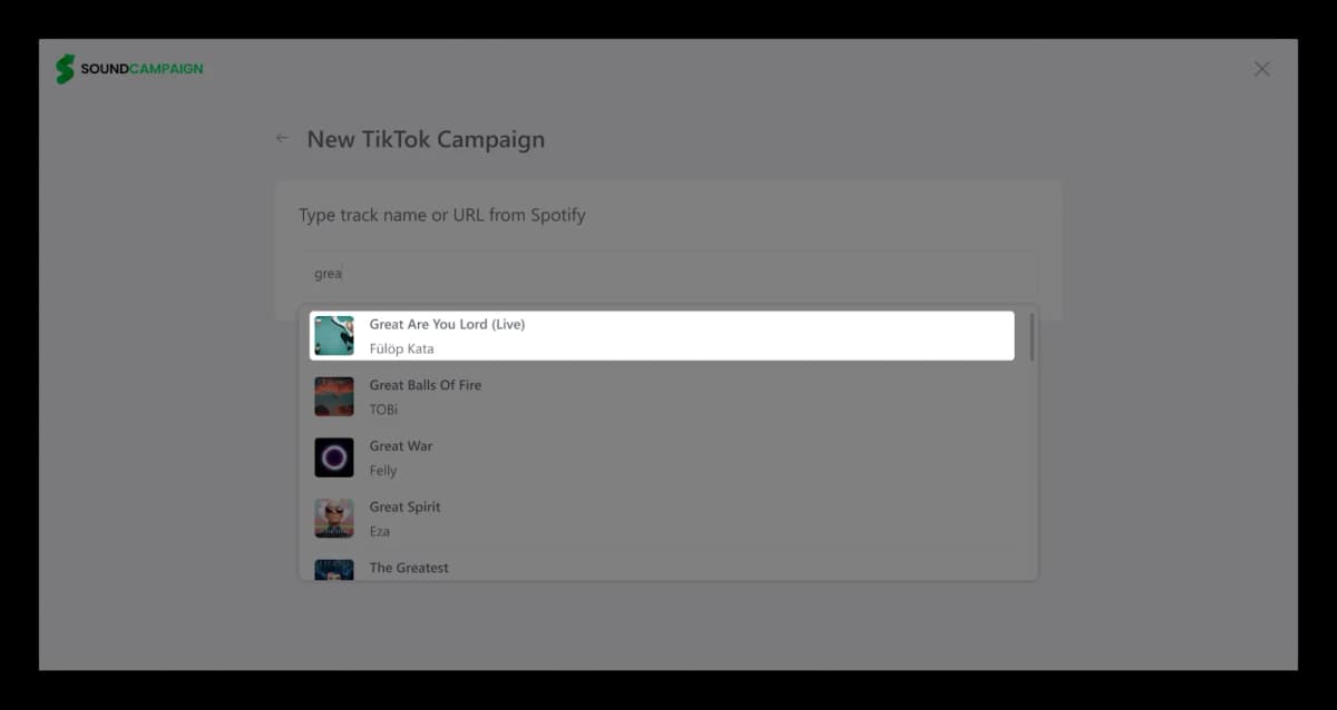 TikTok campaign settings