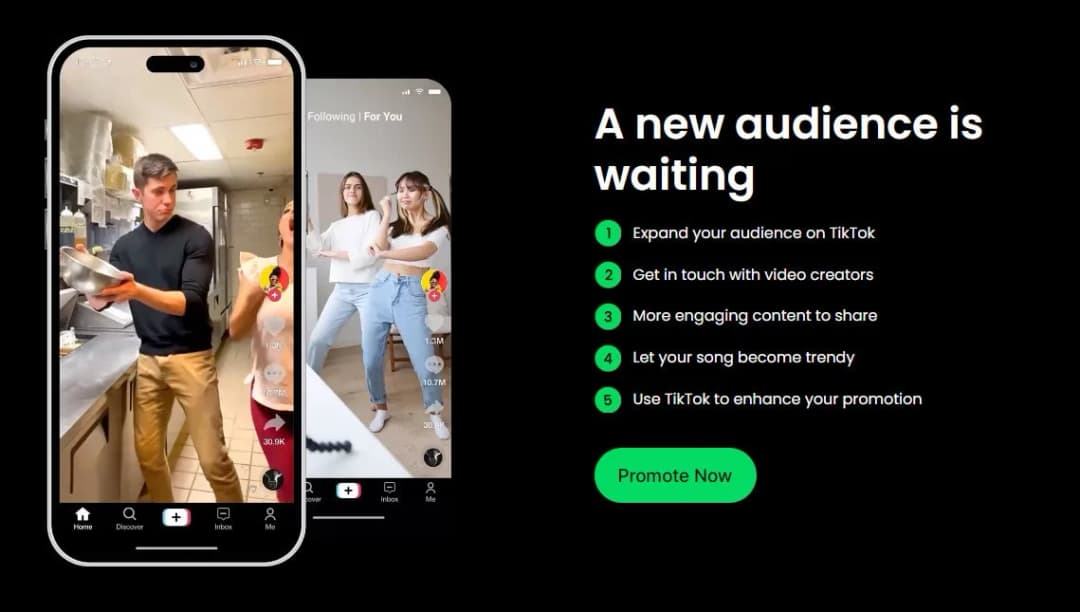 TikTok promotion service