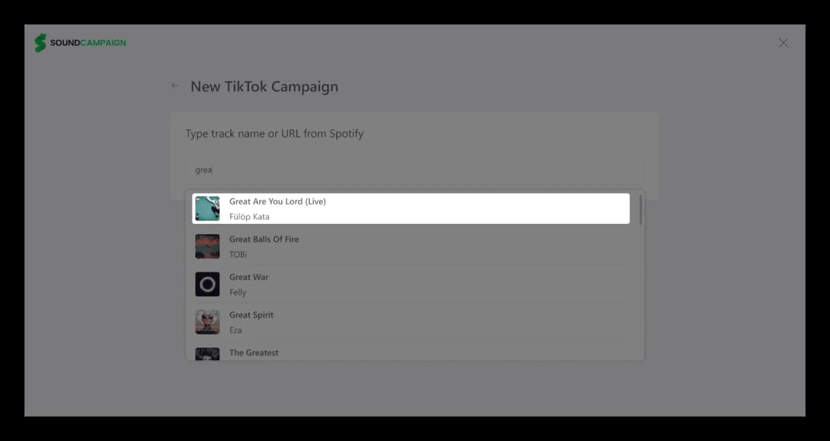 TikTok campaign settings
