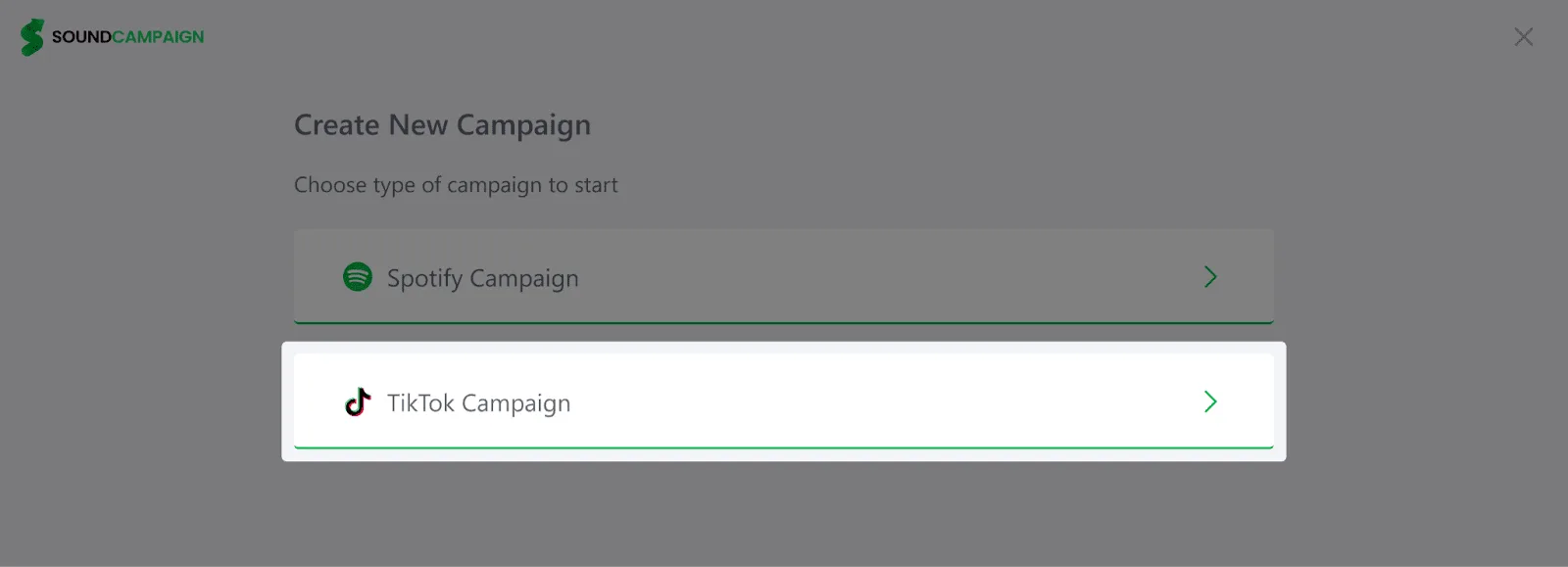 TikTok campaign settings