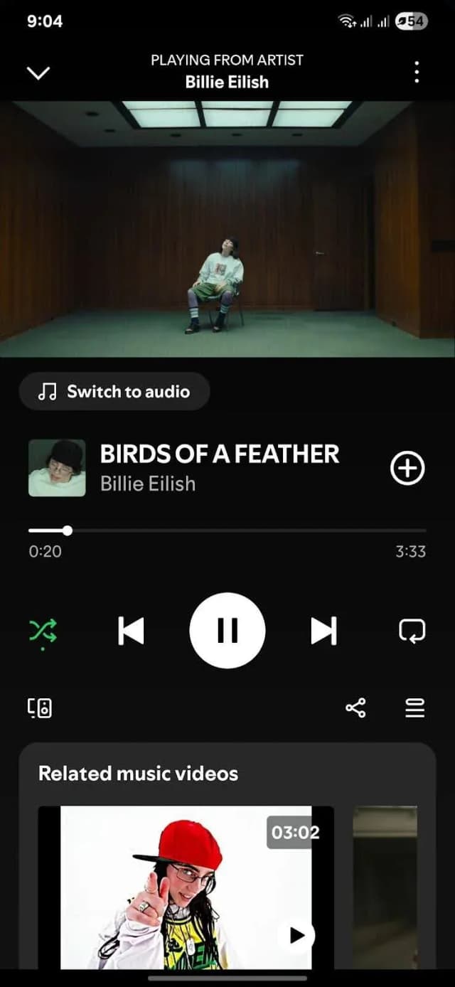 billie-eilish-birds-of-a-feather-spotify-playing.jpg