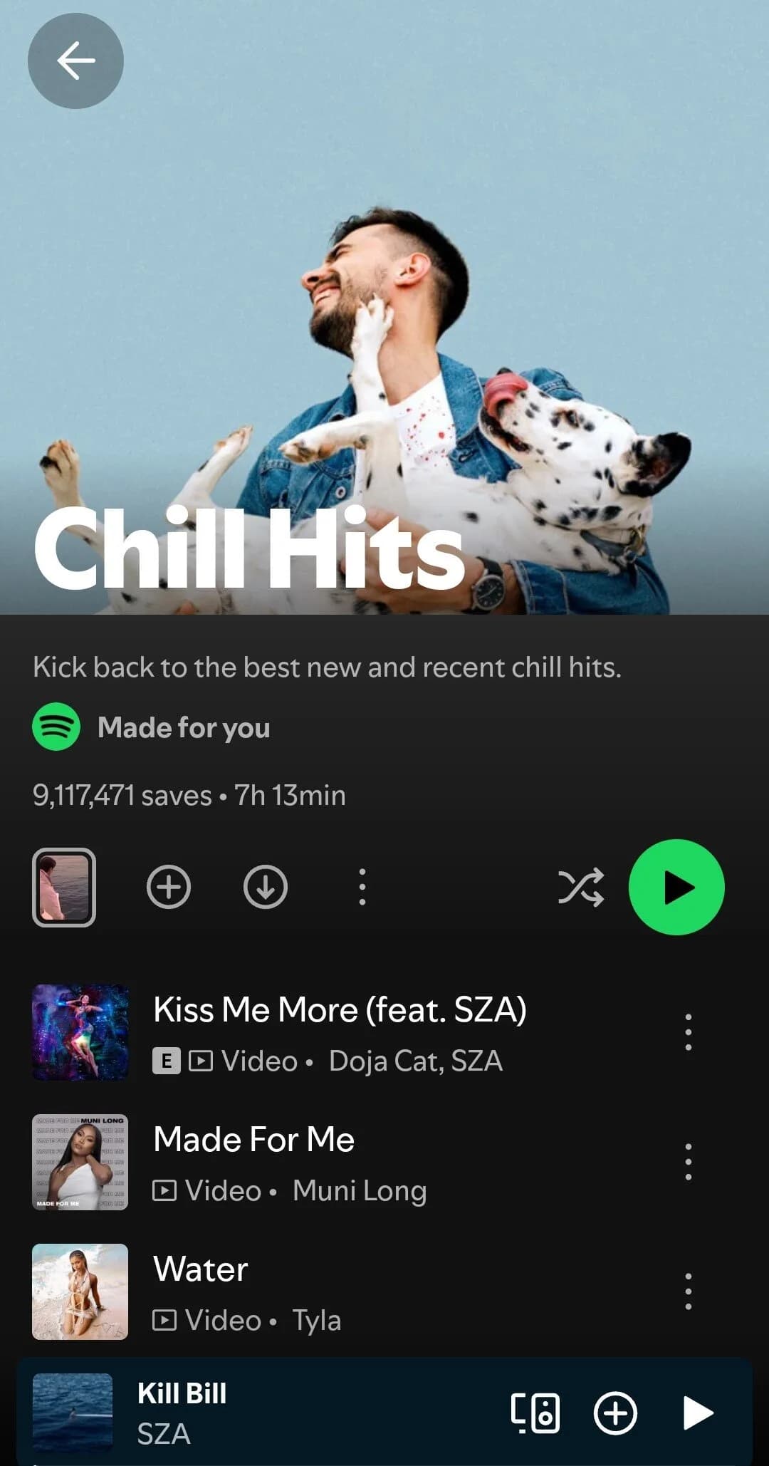 chill hits spotify playlist