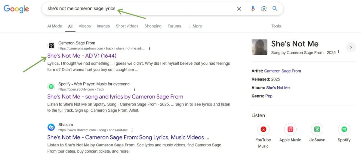 Digital music marketing website strategy