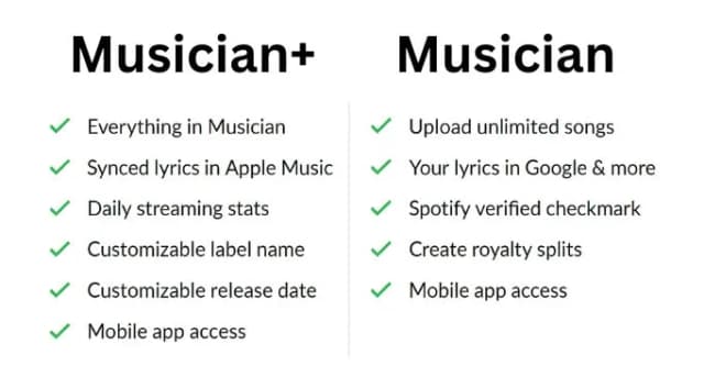 Distrokid musician and musician plus comparison