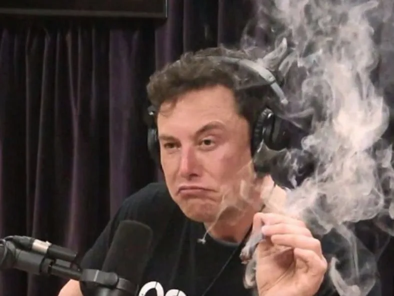 Elon Musk Spotify meme