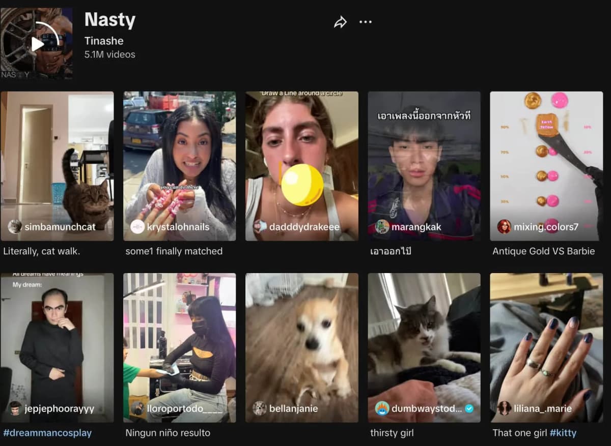 Tik tok video views