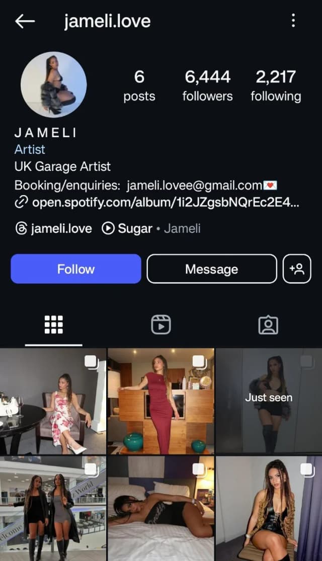 Instagram Bio Example for Musicians