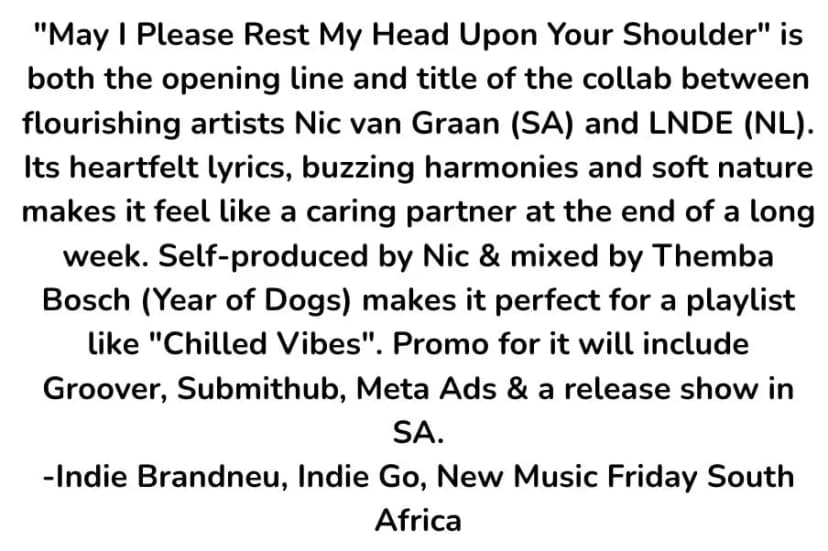 Nic van graan third song Spotify playlist pitch