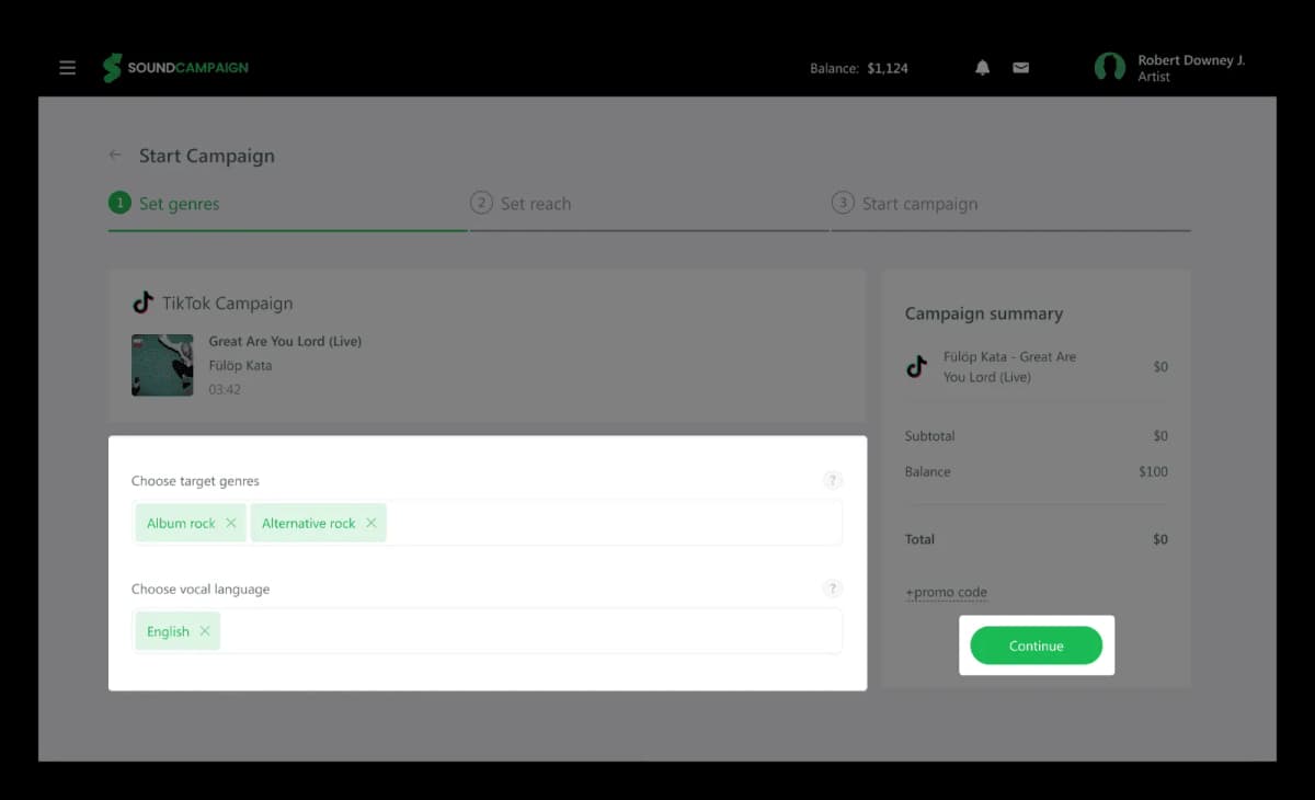 setting up TikTok campaign