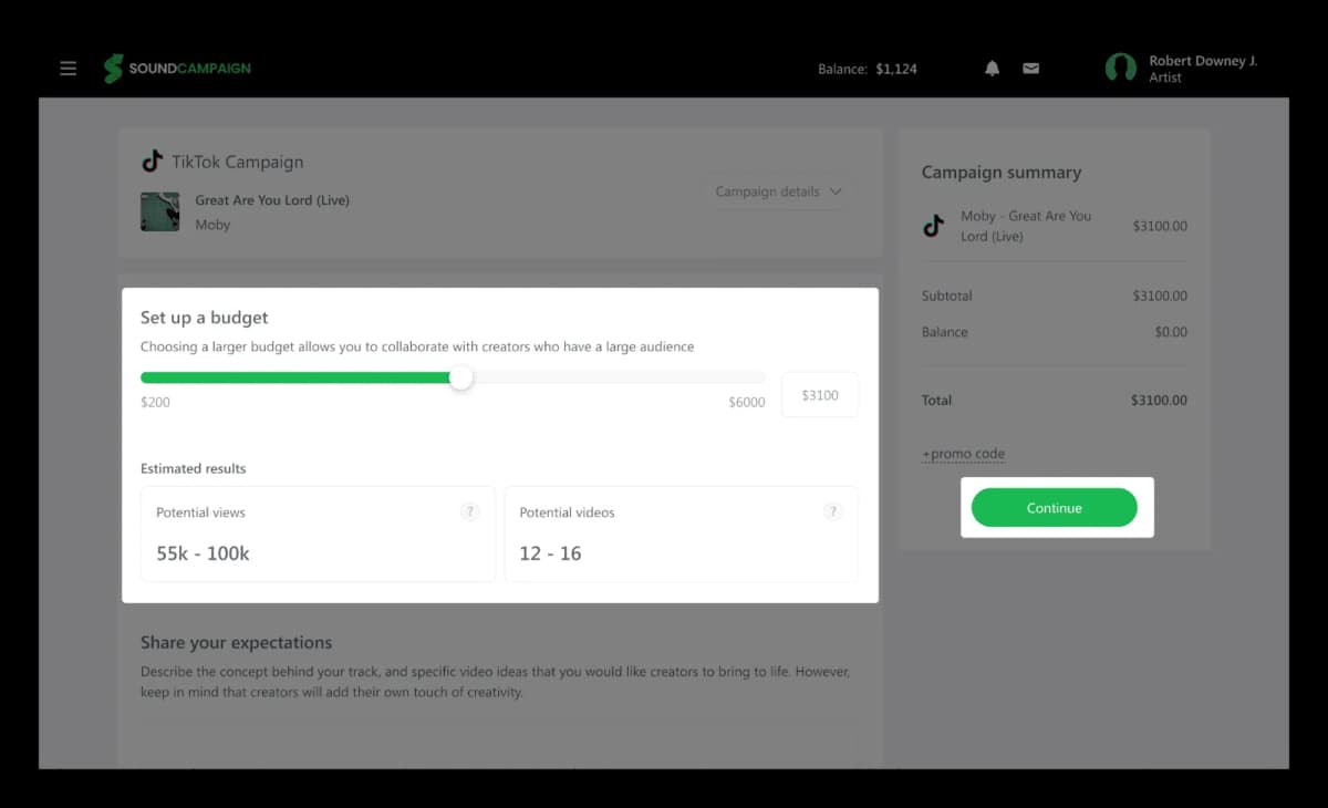 setting up TikTok campaign budget