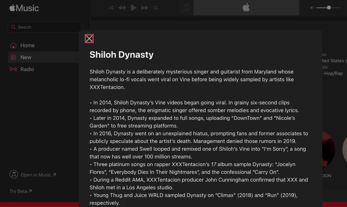 Shiloh Dynasty the faceless artist who blew up