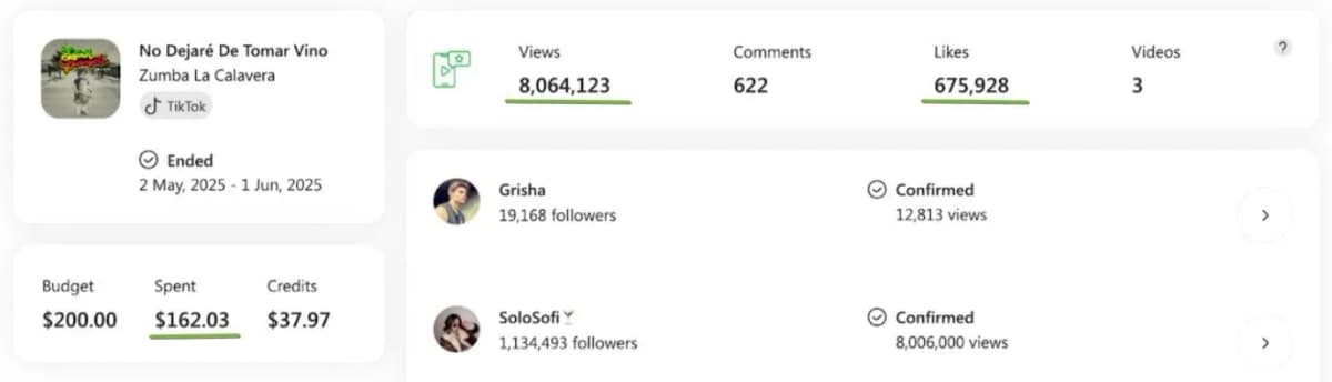 SoundCampaign TikTok results