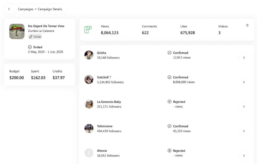 soundcampaign-tiktok-results.png