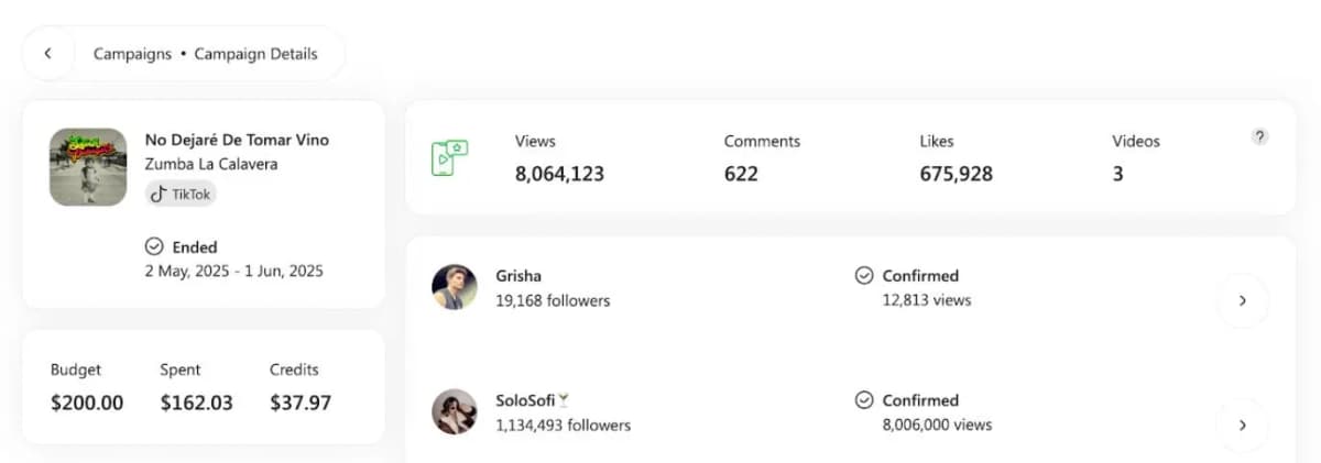 SoundCampaign TikTok results