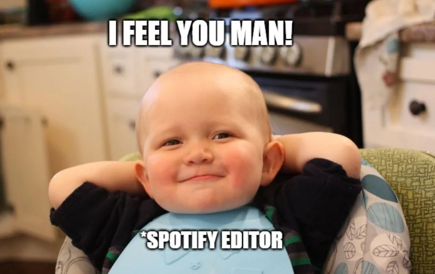 Spotify editor having fun meme