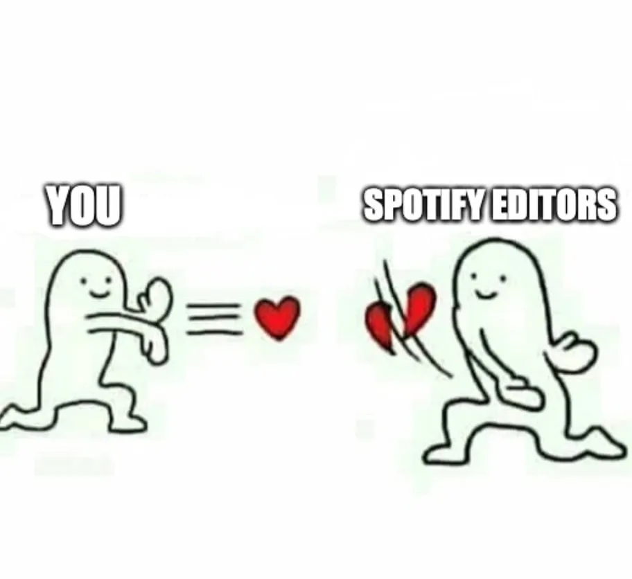 Spotify pitch examples meme