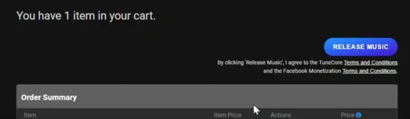Tunecore walkthrough 5