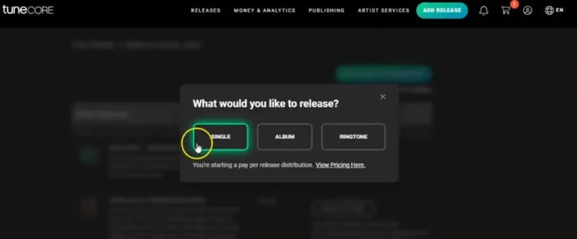 Tunecore walkthrough step 2