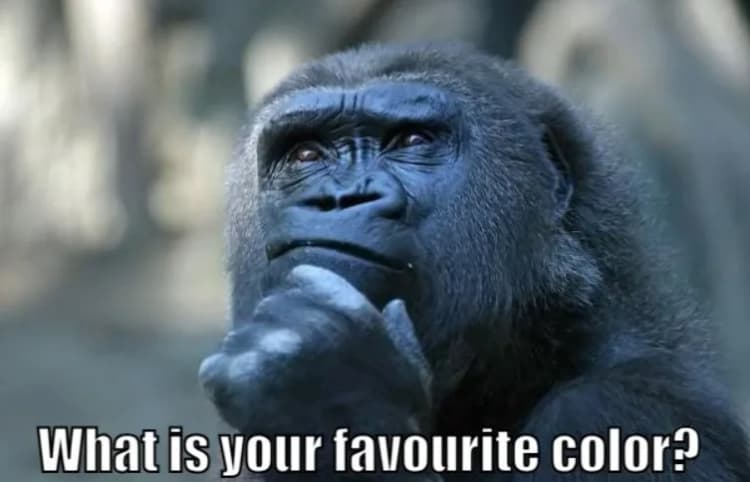 what is your favourite color meme?